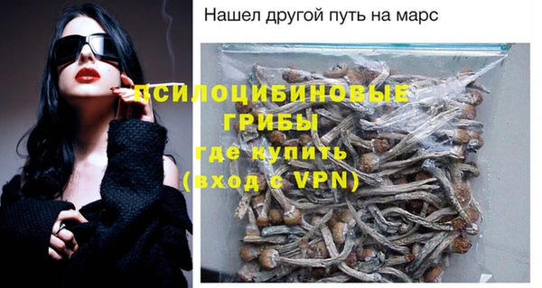 PSILOCYBIN Бугульма
