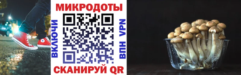 Купить закладки  Назарово  Псилоцибиновые грибы прущие грибы 